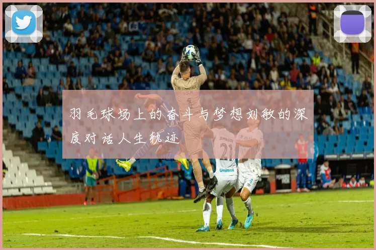 羽毛球场上的奋斗与梦想刘敏的深度对话人生轨迹