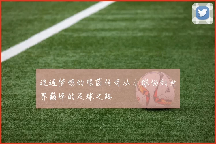 追逐梦想的绿茵传奇从小球场到世界巅峰的足球之路