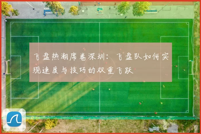 飞盘热潮席卷深圳：飞盘队如何实现速度与技巧的双重飞跃