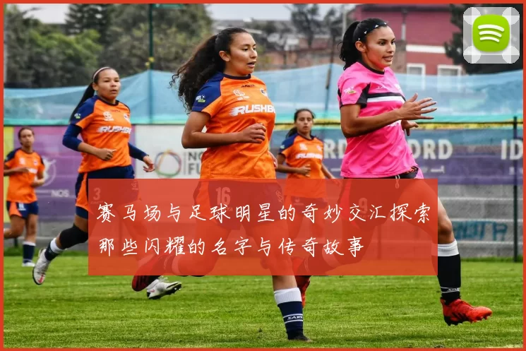 赛马场与足球明星的奇妙交汇探索那些闪耀的名字与传奇故事
