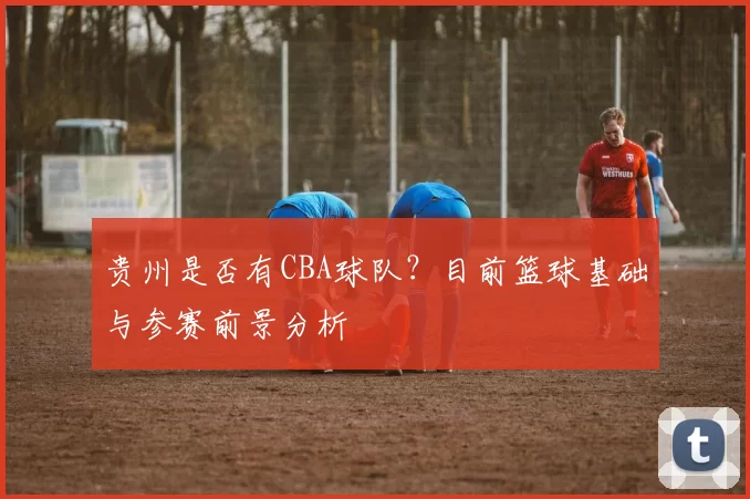 贵州是否有CBA球队？目前篮球基础与参赛前景分析