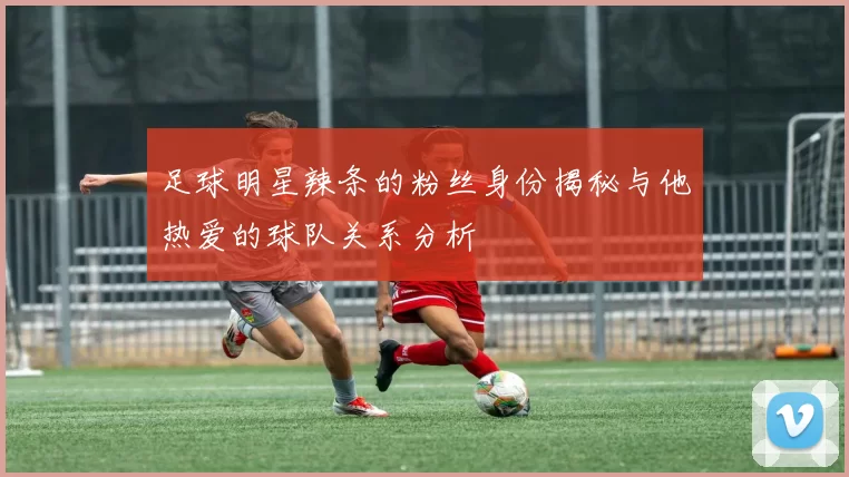 足球明星辣条的粉丝身份揭秘与他热爱的球队关系分析