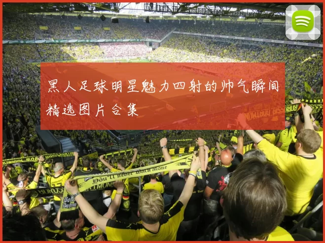 黑人足球明星魅力四射的帅气瞬间精选图片合集
