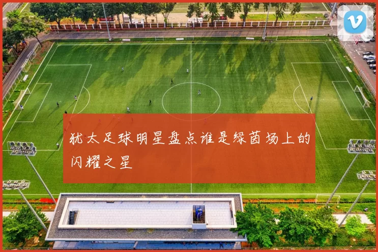 犹太足球明星盘点谁是绿茵场上的闪耀之星