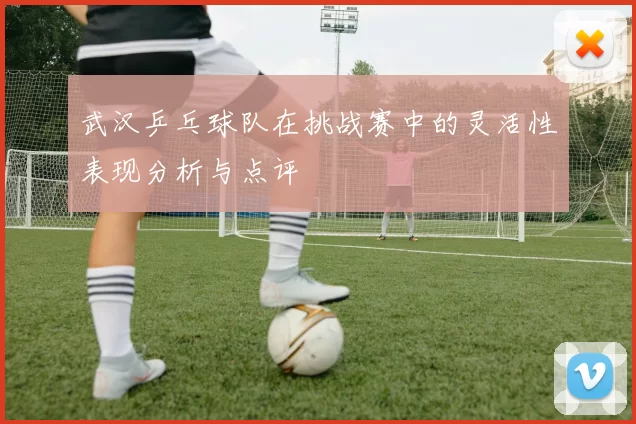 武汉乒乓球队在挑战赛中的灵活性表现分析与点评