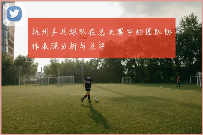 杭州乒乓球队在总决赛中的团队协作表现分析与点评