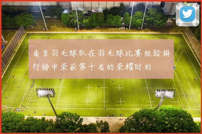 南京羽毛球队在羽毛球比赛经验排行榜中荣获第十名的荣耀时刻