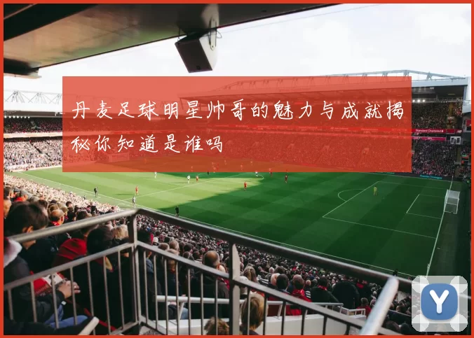 丹麦足球明星帅哥的魅力与成就揭秘你知道是谁吗