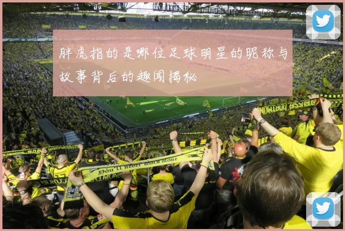 胖虎指的是哪位足球明星的昵称与故事背后的趣闻揭秘