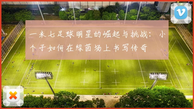 一米七足球明星的崛起与挑战：小个子如何在绿茵场上书写传奇