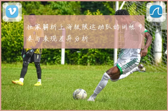 独家解析上海极限运动队的训练节奏与表现差异分析