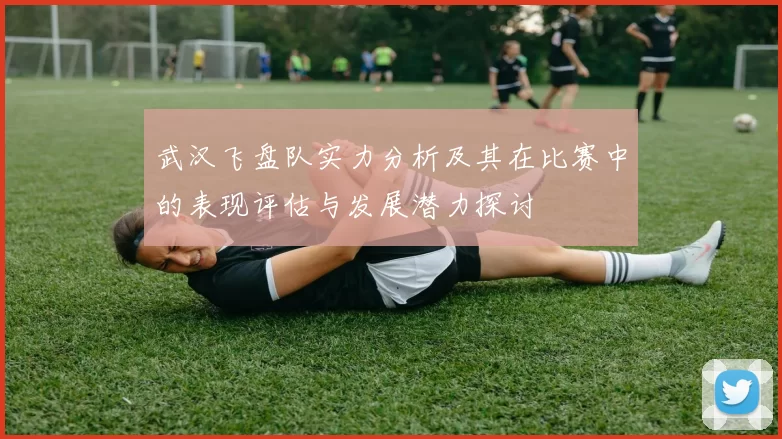武汉飞盘队实力分析及其在比赛中的表现评估与发展潜力探讨