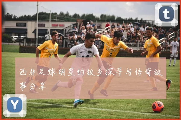 西非足球明星的故乡探寻与传奇故事分享