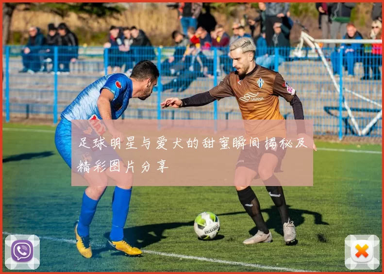 足球明星与爱犬的甜蜜瞬间揭秘及精彩图片分享