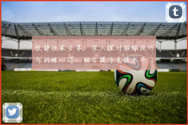张静独家分享：深入探讨排球技巧与训练心得，助你提升竞技水平