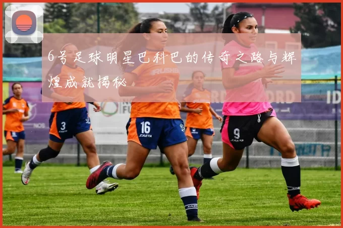 6号足球明星巴科巴的传奇之路与辉煌成就揭秘