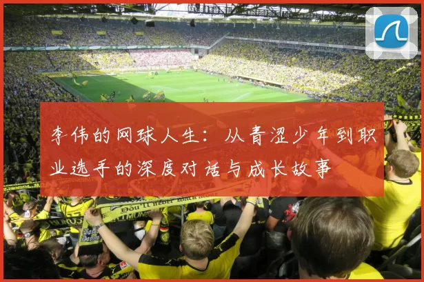 李伟的网球人生：从青涩少年到职业选手的深度对话与成长故事
