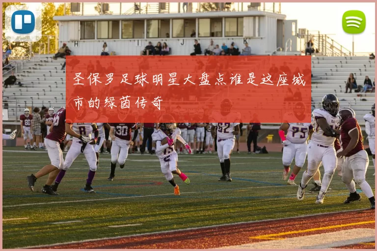 圣保罗足球明星大盘点谁是这座城市的绿茵传奇