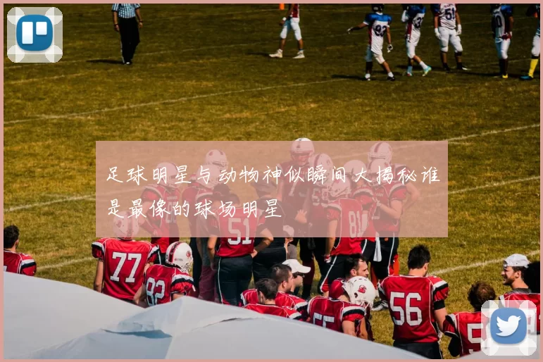 足球明星与动物神似瞬间大揭秘谁是最像的球场明星
