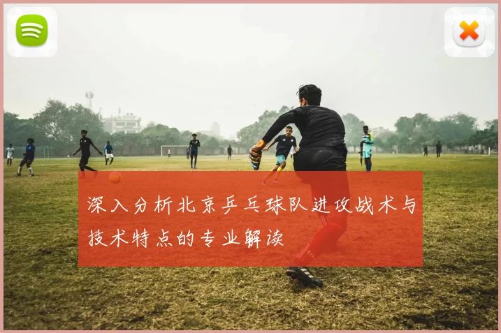 深入分析北京乒乓球队进攻战术与技术特点的专业解读