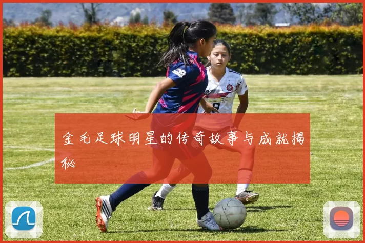 金毛足球明星的传奇故事与成就揭秘