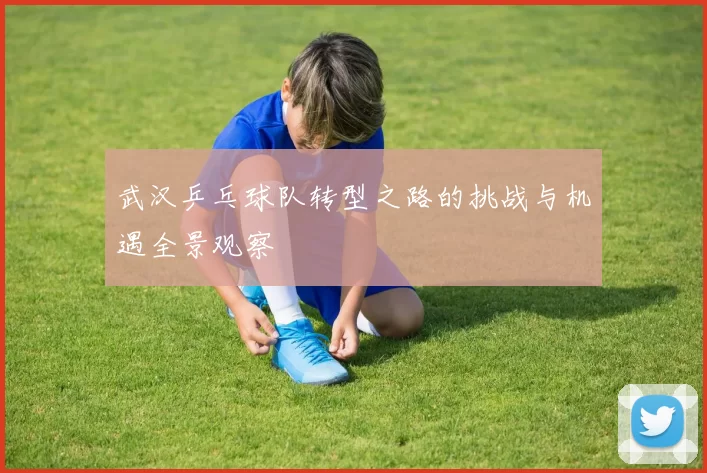 武汉乒乓球队转型之路的挑战与机遇全景观察