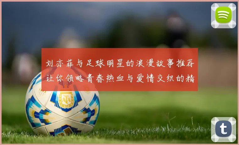 刘亦菲与足球明星的浪漫故事推荐让你领略青春热血与爱情交织的精彩小说