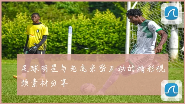足球明星与老虎亲密互动的精彩视频素材分享